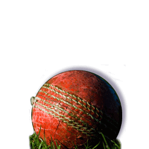 Cricket Betting Online in SA front image cricket ball