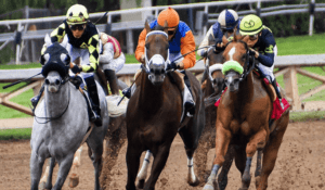 The Most Famous Horse Racing Events in South Africa