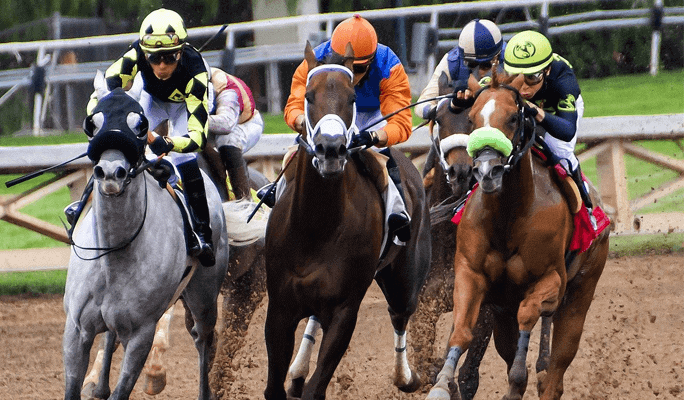 The Most Famous Horse Racing Events in South Africa
