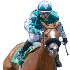 Horse racing betting online