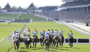 Glitz and glamour at the Cheltenham Festival