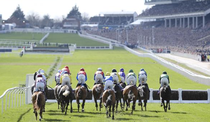 Cheltenham Festival 2025 bet and win