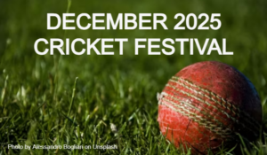 Your December Cricket Betting guide