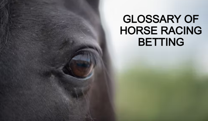 Glossary of Horse Racing Betting Bet and Win
