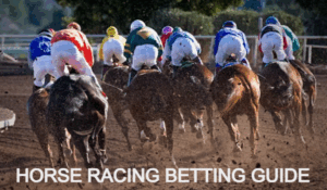 Horse Racing Betting Guide for Beginners