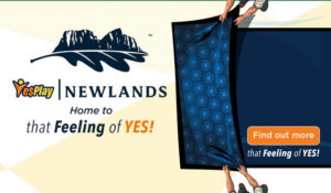 YesPlay Newlands Sponsorship