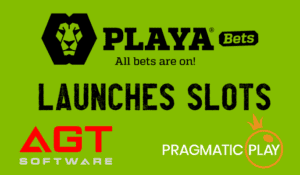 Playabets Slots