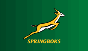 Boks take on Italy at Gqeberha