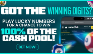 Lucky Numbers Weekly Jackpot at Lucky Fish