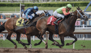 The future of horse racing betting in 2021