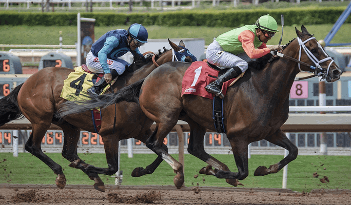Horse racing betting in 2021